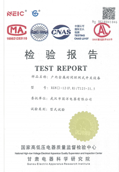 檢驗報告