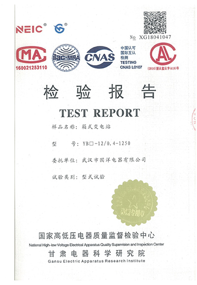 檢驗報告